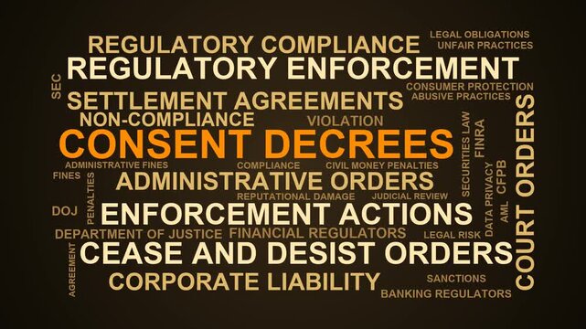 Consent Decrees Word Cloud