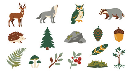 Obraz premium Set of hand drawn forest animals and plants elements.