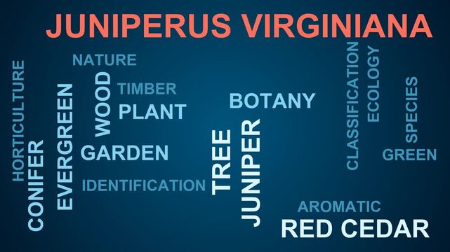 Juniperus Virginiana Word Cloud