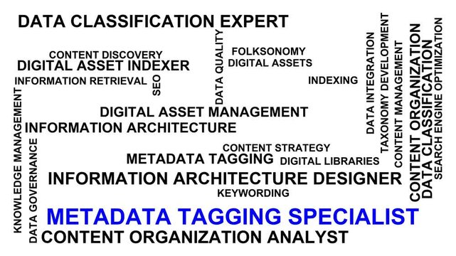 Metadata Tagging Specialist Word Cloud