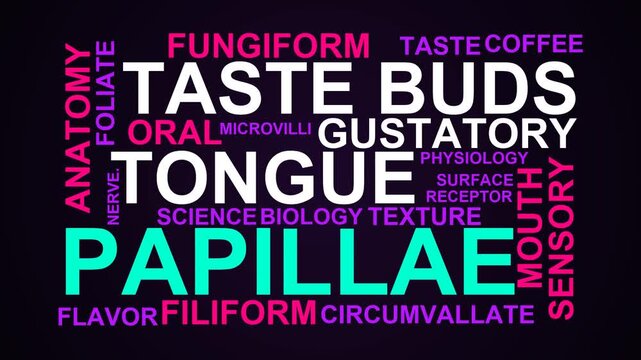 Papillae Word Cloud