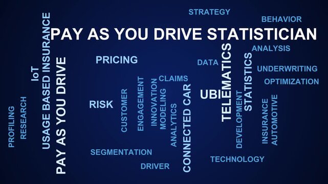Pay As You Drive Statistician Word Cloud