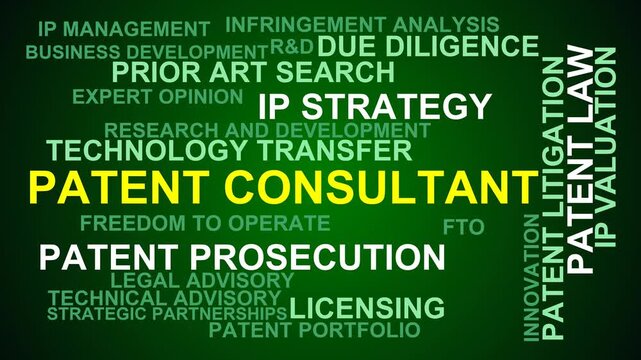 Patent Consultant Word Cloud