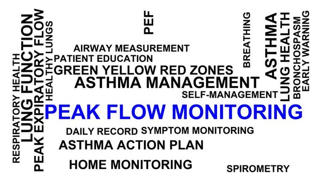 Peak Flow Monitoring Word Cloud