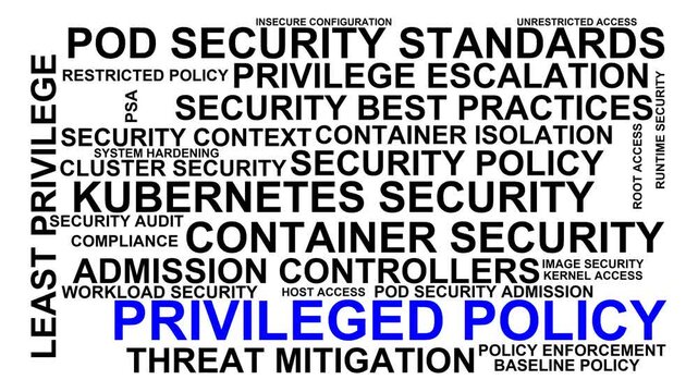 Privileged Policy Word Cloud