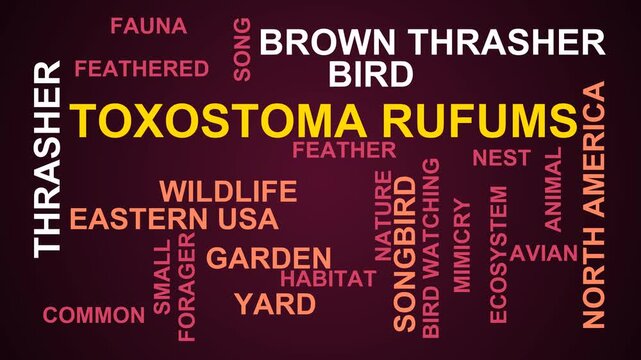 Toxostoma Rufums Word Cloud