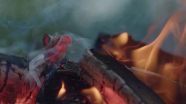 Bonfire burns outdoor in a forest
