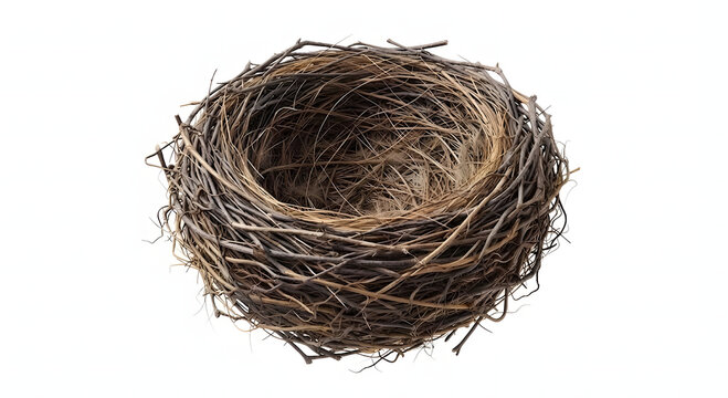 Empty natural bird nest isolated on white background.