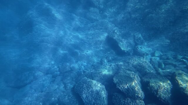 Underwater rocky seabed in clear blue water