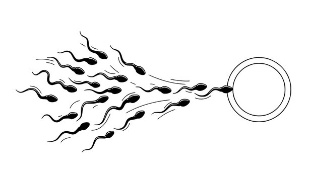 Human Fertilization Design with Black Silhouette Sperm Cells Race to Penetrate Ovum Egg for Medical, Biology, and Reproductive Health Designs