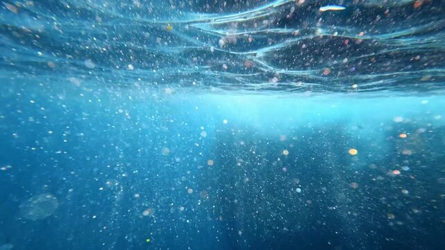 Underwater view of rippling surface with rising bubbles