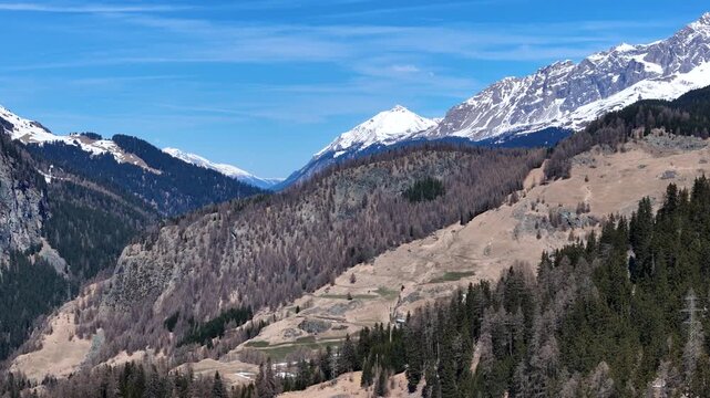 rust colored larch trees blanket steep valley slope terraced meadow patches dot valley floor transmission tower climbs forested ridge snowcapped peaks julier pass drone footage graubunden switzerland