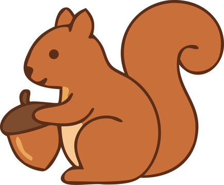 squirrel with nut