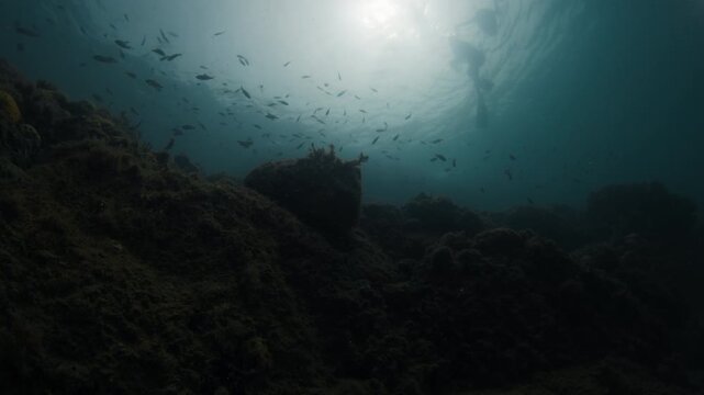 Underwater view of the family with kids snorkeling in the sea