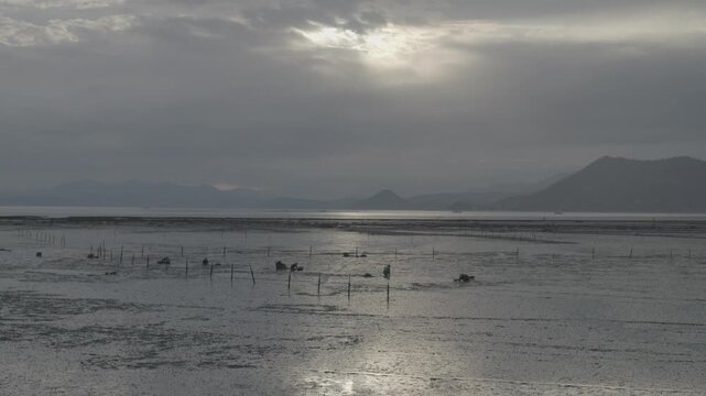 Korean Mudflat Peolbae Razor Clam Shellfish Clam Harvesting Fisherman Korea 한국 갯벌 뻘배 맛조개 조개 조개잡이 어민 어부 채취 수산물 해양생태 노동