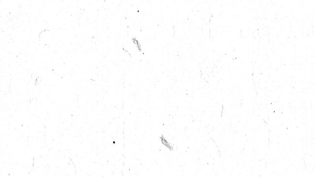 Vintage film grain overlay with delicate scratches, dust faded marks and texture movement, creating an authentic aged movie effect for cinematic footage and retro compositions white screen. 4k