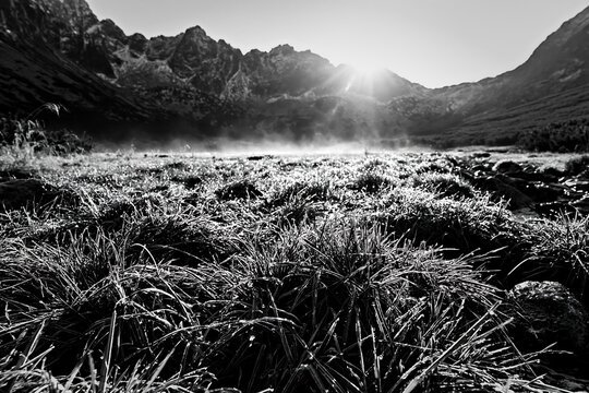 Meadow and valley at dawn with mist and sunlight