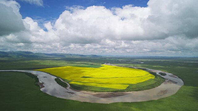 Timelapse Aerial Wide View of Meandering Baihe River and Golden Rapeseed Flower Field in Zoige Wetland Winding River Bend, Lush Grassland, Blue Sky and Cloud Background