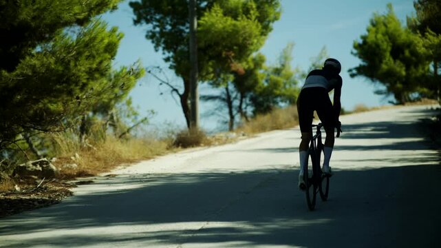 Cyclist Riding Road Bicycle Uphill Along Pine Forest Countryside Asphalt Path. Workout Outdoor