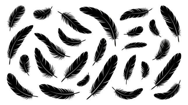 Collection of black bird feathers isolated on a white background as a graphic design element