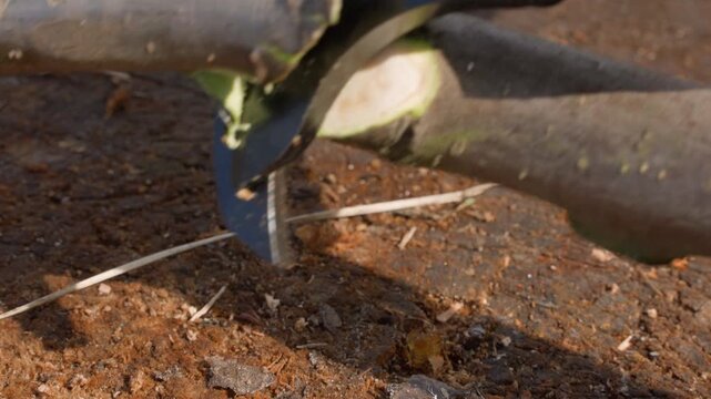 Electric pruning shears cutting thick branch extreme close-up. Cordless secateurs blade slicing through wood and green bark