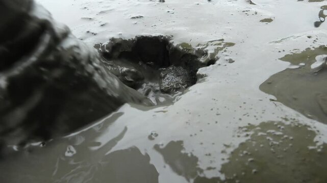 Korean Mudflat Peolbae Razor Clam Shellfish Clam Harvesting Fisherman Korea 한국 갯벌 뻘배 맛조개 조개 조개잡이 어민 어부 채취 수산물 해양생태 노동