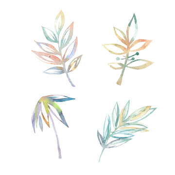 Hand drawn botanical branch with leaves set. Minimalist watercolor illustration of tropical and olive twigs isolated on white background. Colorful floral elements.