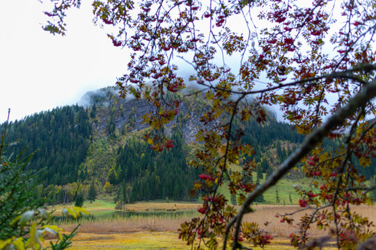 Autumn Mountain Landscape with Alpine Lake and Red Berries near Gstaad, Switzerland