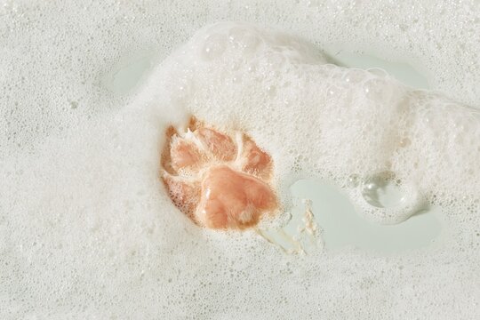Paw print pressed into a bed of fluffy bath foam, featuring a soft pink impression for pet grooming and care products