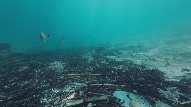 Underwater view of the garbage on the sea bed near the island of Ilha Grande in Brazil