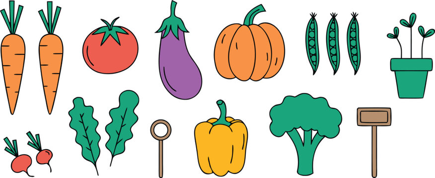 Colorful vector illustration of various garden vegetables and a seedling