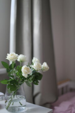 white rose isolated. Floral romantic background, birthday, dating and love concept. Festive flower arrangement in a vase for home. Floral shop. Delivery fresh cut flower.