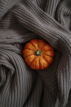 Warm fall still life with woolen knit sweater and mini orange pumpkin, halloween and autumn cozy composition with plaid, sweater, pumpkin, october home decoration, cozy hygge background
