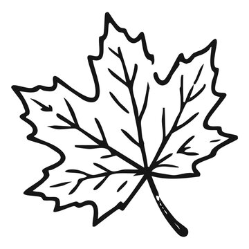 maple leaf silhouette