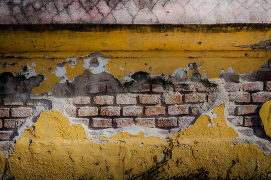 Pared de ladrillos