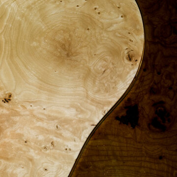 Light and dark burl wood grain texture