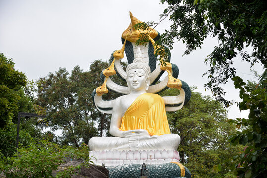 ROI ET, THAILAND &ndash; SEPTEMBER 16, 2026: White and gold Buddhist statue seated beneath a multi-headed Naga at Waterfall Cave Soda in Nong Phok District, Roi Et Province.