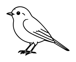 Fototapeta premium Hand-traced vector illustration of a charming little songbird in profile, featuring soft curved outlines, plump rounded body, folded wings, and delicate legs, ideal for nature-themed designs