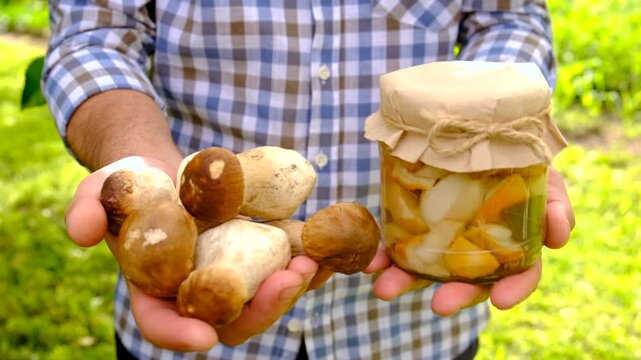 Wild mushrooms in a hand. Selective focus.