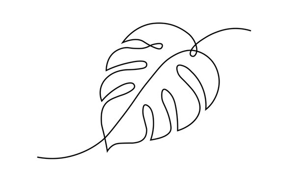 Monster leaf continuous line drawing on white background. Single line tropical plant sketch with minimalist black outline style. Botanical art design for logo, tattoo, and decoration templates.