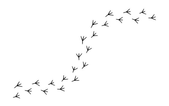 Black bird footprint trail isolated on white background. Animal paw track path with curved walking pattern in silhouette design. Chicken feet print element for nature, farm, and game templates.