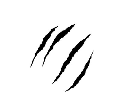 Black claw scratch marks isolated on white background. Animal claw scars with sharp slash texture in monster style design. Ripped scratch effect element for logo, poster, and horror templates.