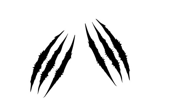Black claw scratch marks isolated on white background. Animal claw scars with sharp slash texture in monster style design. Ripped scratch effect element for logo, poster, and horror templates.