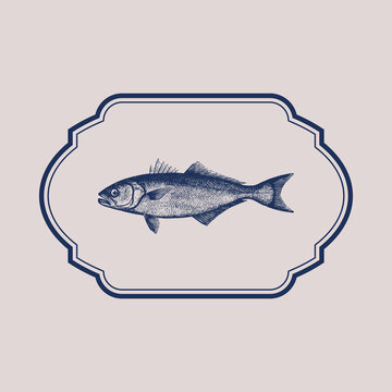 Vintage oval fish label in beige and blue.