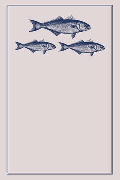 Vintage fish illustrations on dark blue background template with border