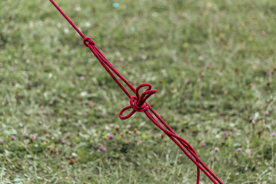 A vibrant red guyline cord features a tight tension knot stretched over blurry green grass in an outdoor campsite field.