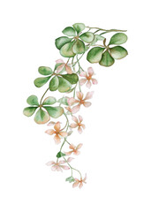 Obraz premium PNG Elegant watercolor floral vine illustration.