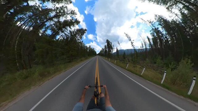 Extreme wide angle point of view of a cyclist riding along a paved road through a park

