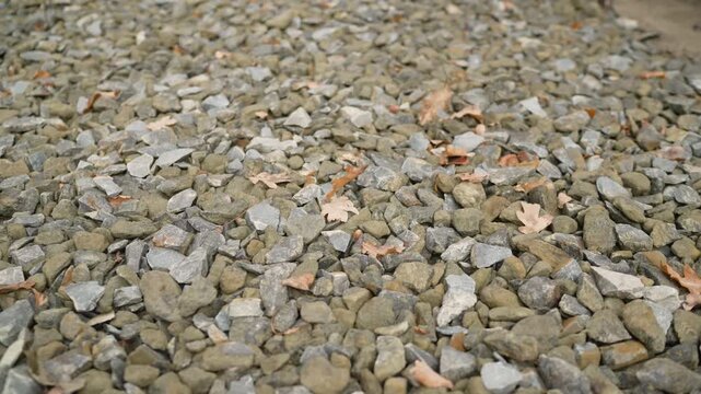 Close up on crushed stone gravel covered in dry autumn leaves. People appear to clean the area, first by hand and then with a powerful leaf blower. Seasonal yard maintenance and tidying