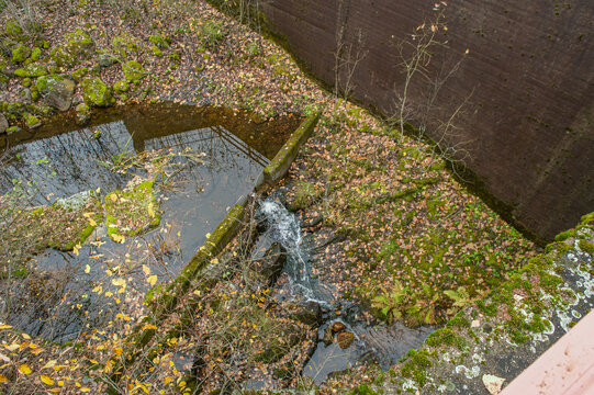 Small stream flowing through autumn forest foliage and mossy rocks
